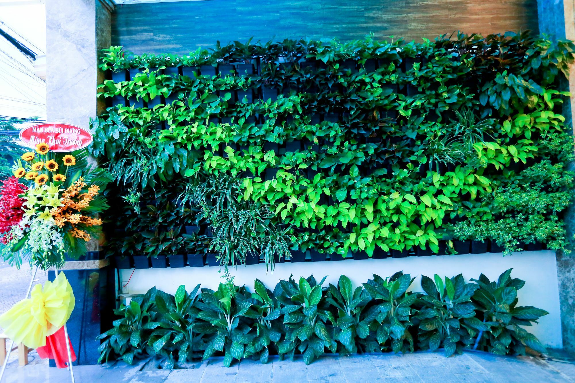 Vivian Saigon Hotel Hô Chi Minh-Ville